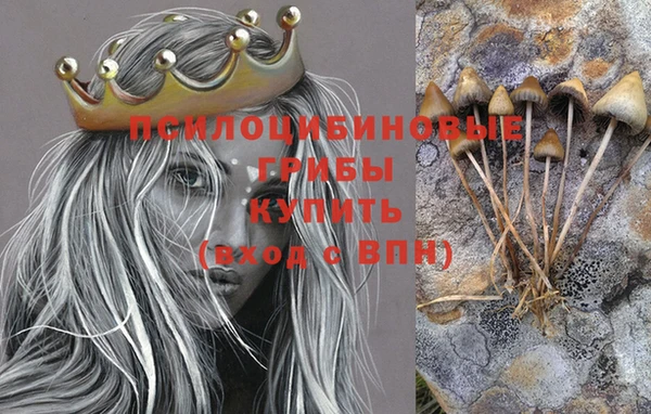 эйфоретик Тайга