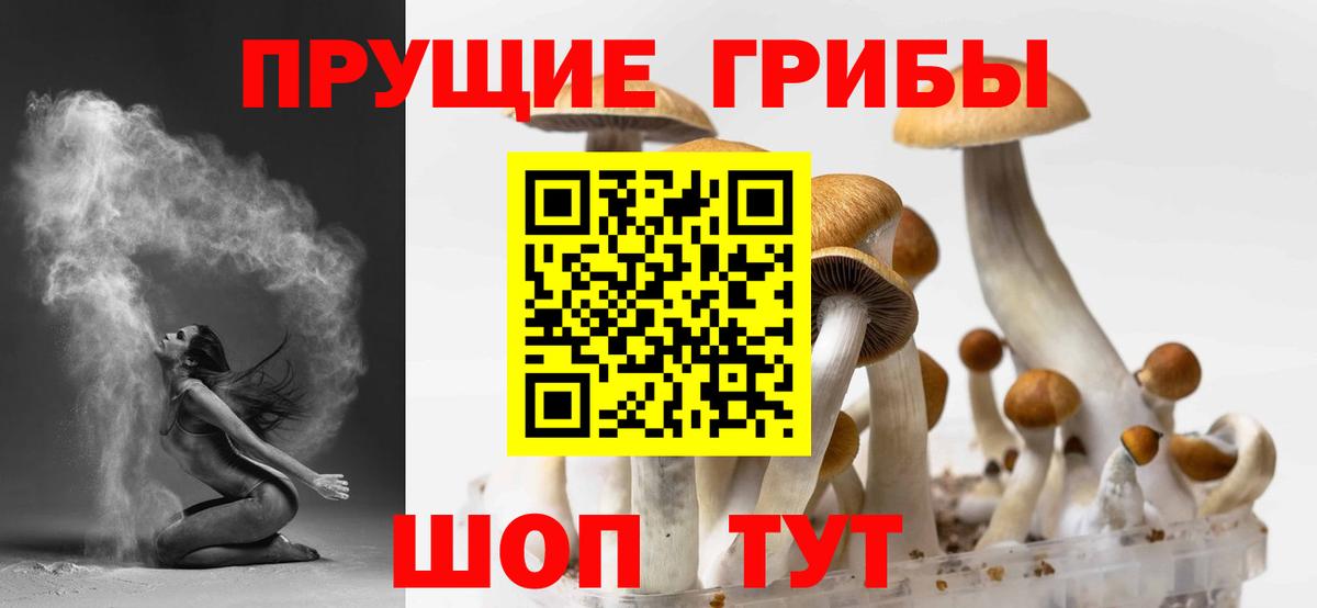 Галлюциногенные грибы Cubensis  Вход с VPN  купить наркотик  Нягань 
